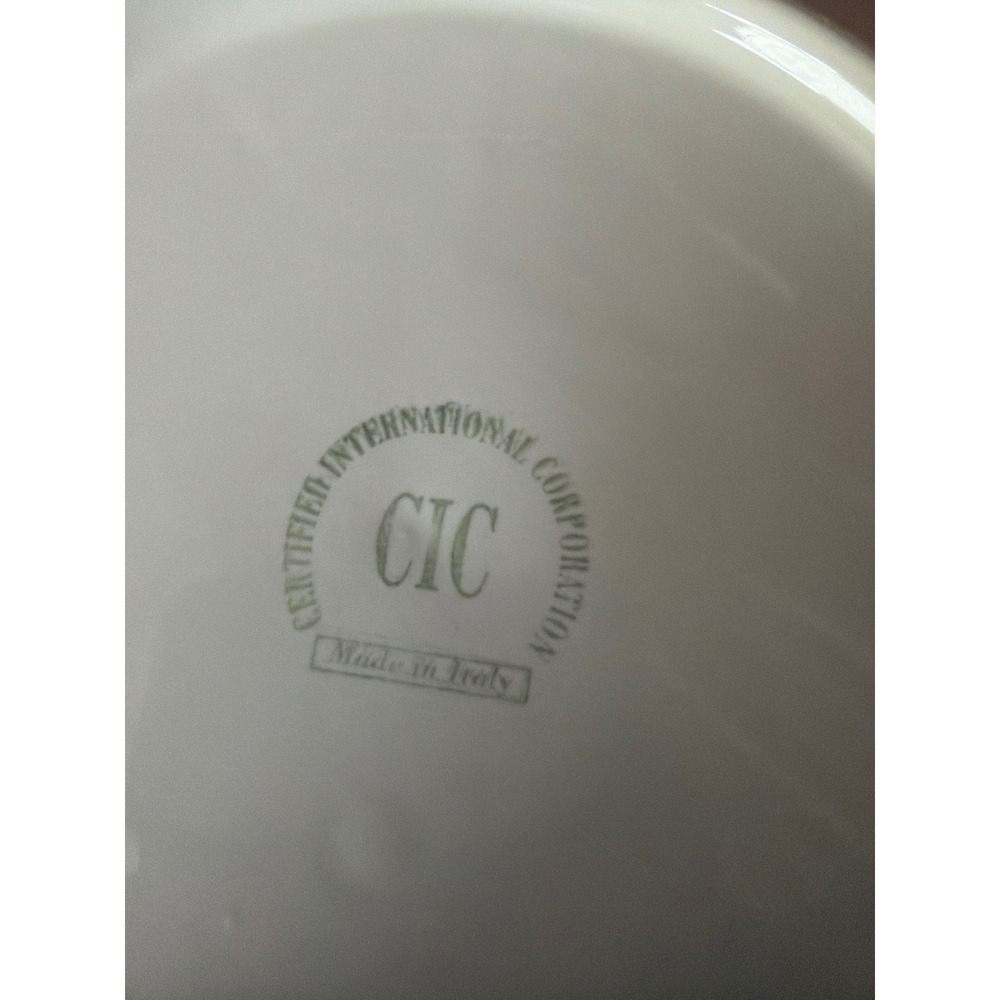 CIC Italy White Embossed Fruit Ceramic Soup Bowl and Charger Plate Set 2pc - Picture 8 of 8